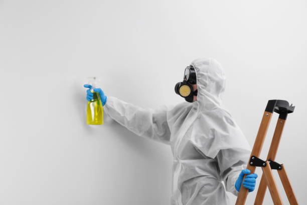 Best Residential Mold Inspection & Testing  in Orange, CA