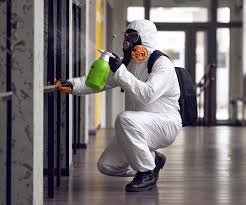 Best Emergency Mold Remediation  in Orange, CA